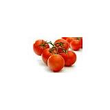 Datteltomaten