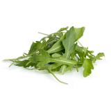 Ruccola