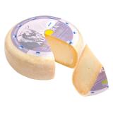 Schafgouda mittelalt 50% Fett i. Tr.