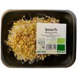 Sprossen-Mix samenfest 100g KLD