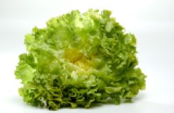 Endivie