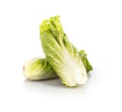 Zuckerhut - Salat
