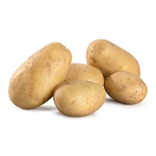 Neue Kartoffeln Nicola fk