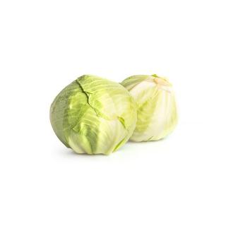 Weißkraut  neue Ernte