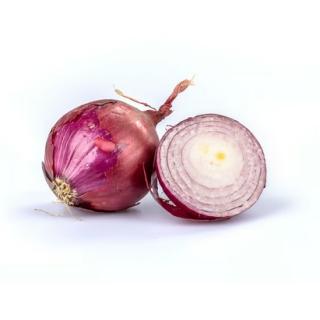 Zwiebel rot