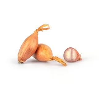 Schalotten