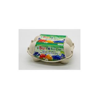 Bunte Eier (6 Stück)