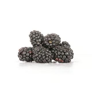 Brombeeren 125g Schale