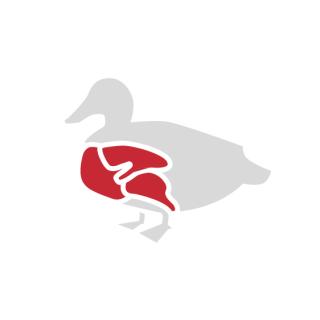 Entenbrust (1 Stück ca. 0,3 kg)