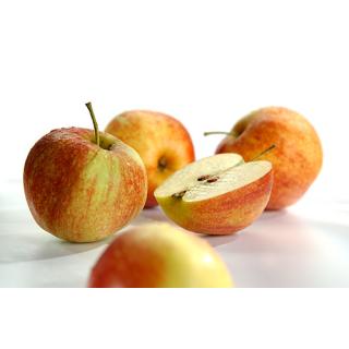 Äpfel Jonagored