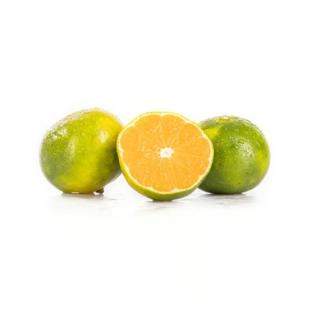 Satsumas grünlich