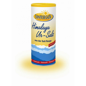 Himalaya Ur-Salz fein im Streuer 400g ERN