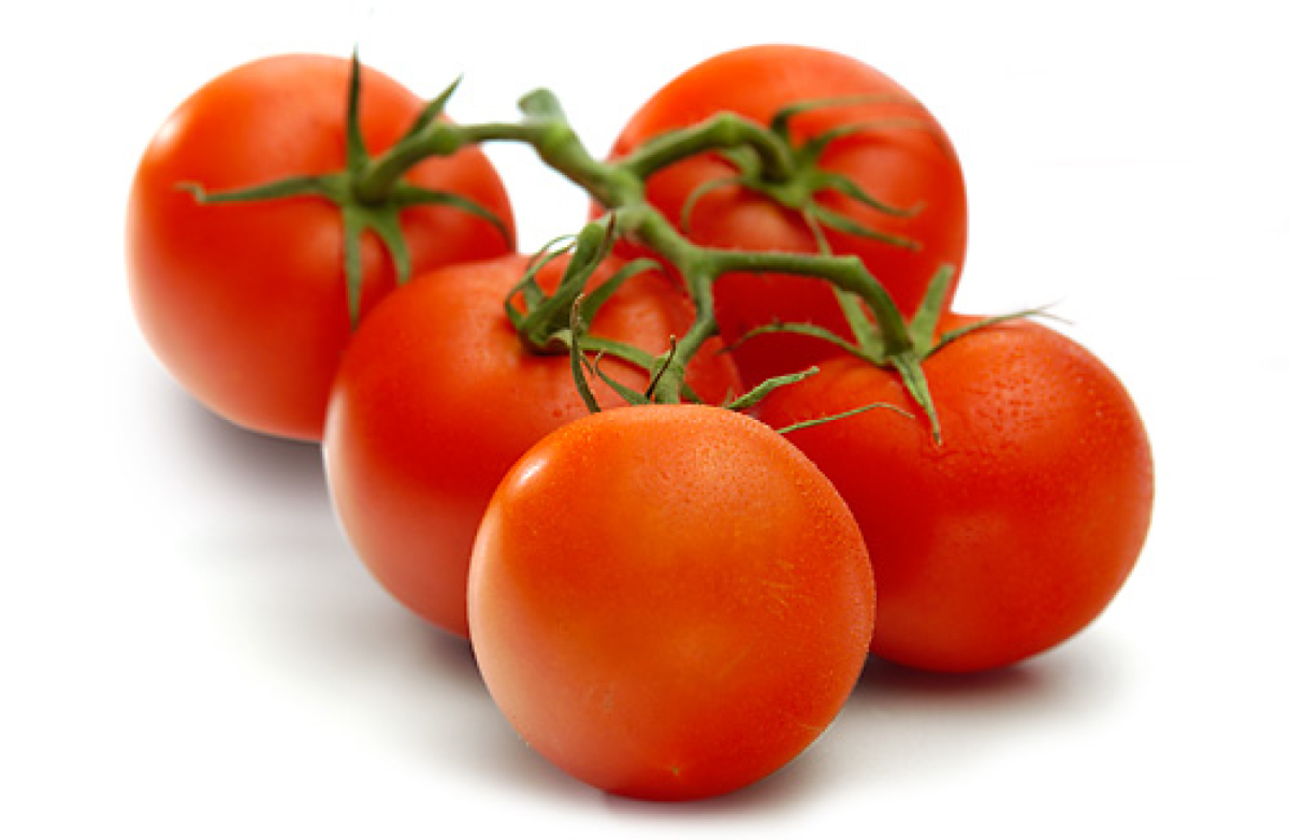 Strauchtomaten