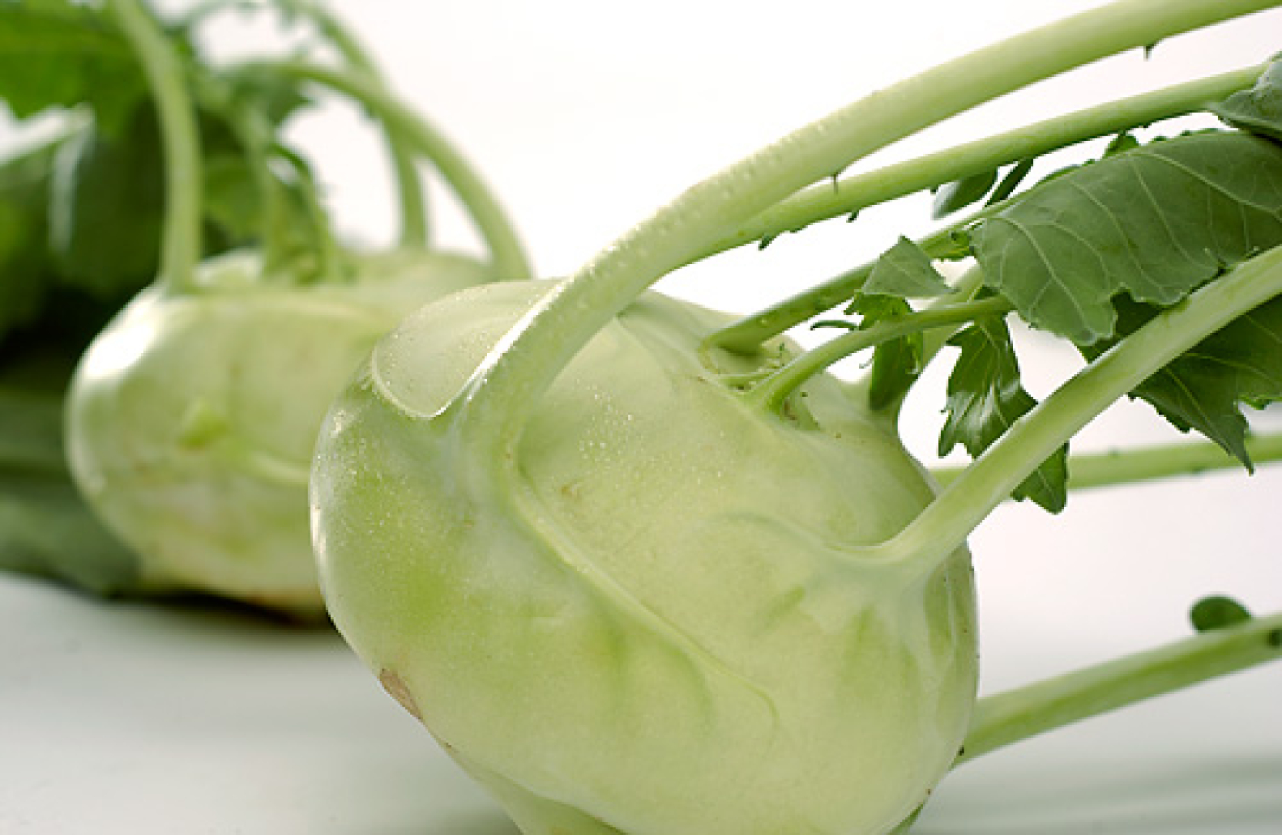 Kohlrabi