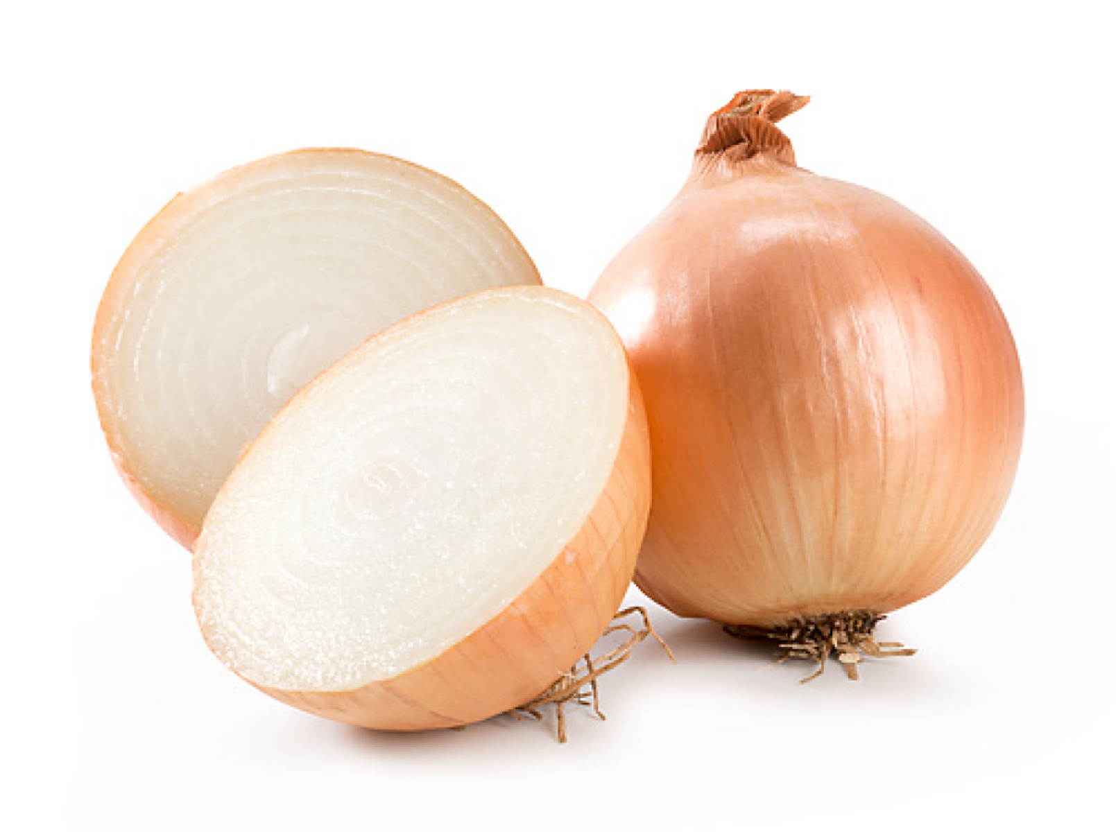 Zwiebel, gelb