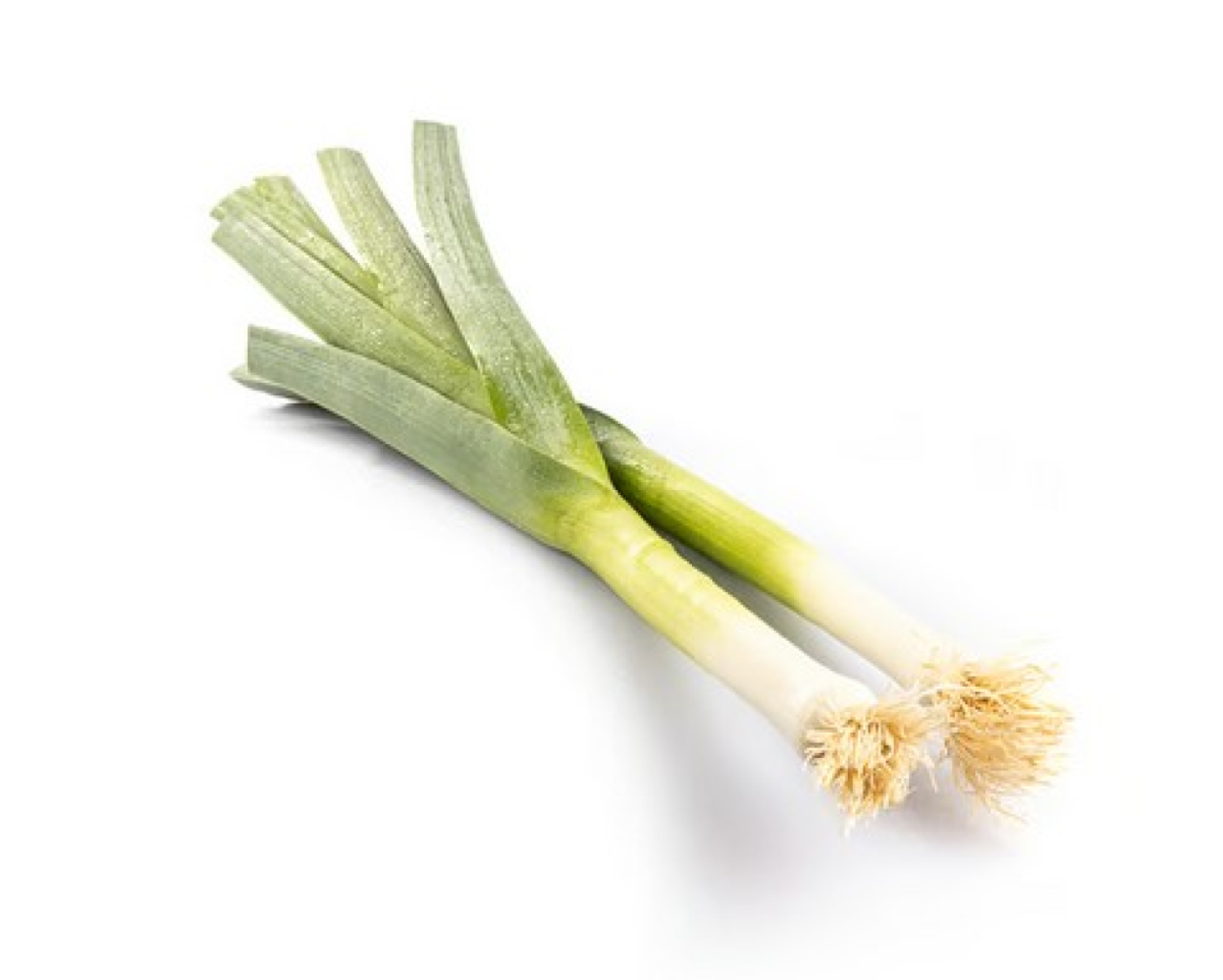Lauch