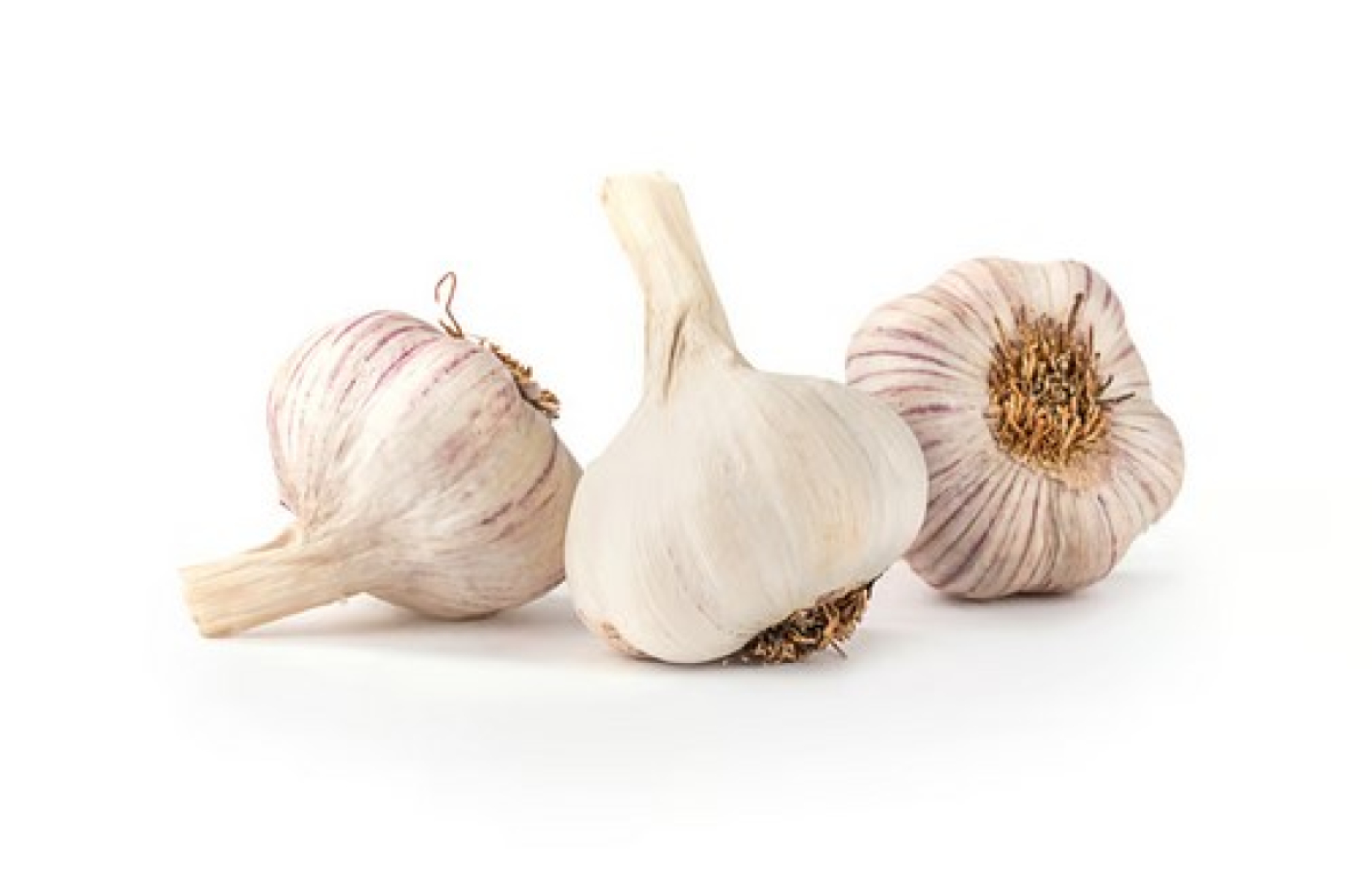 Knoblauch