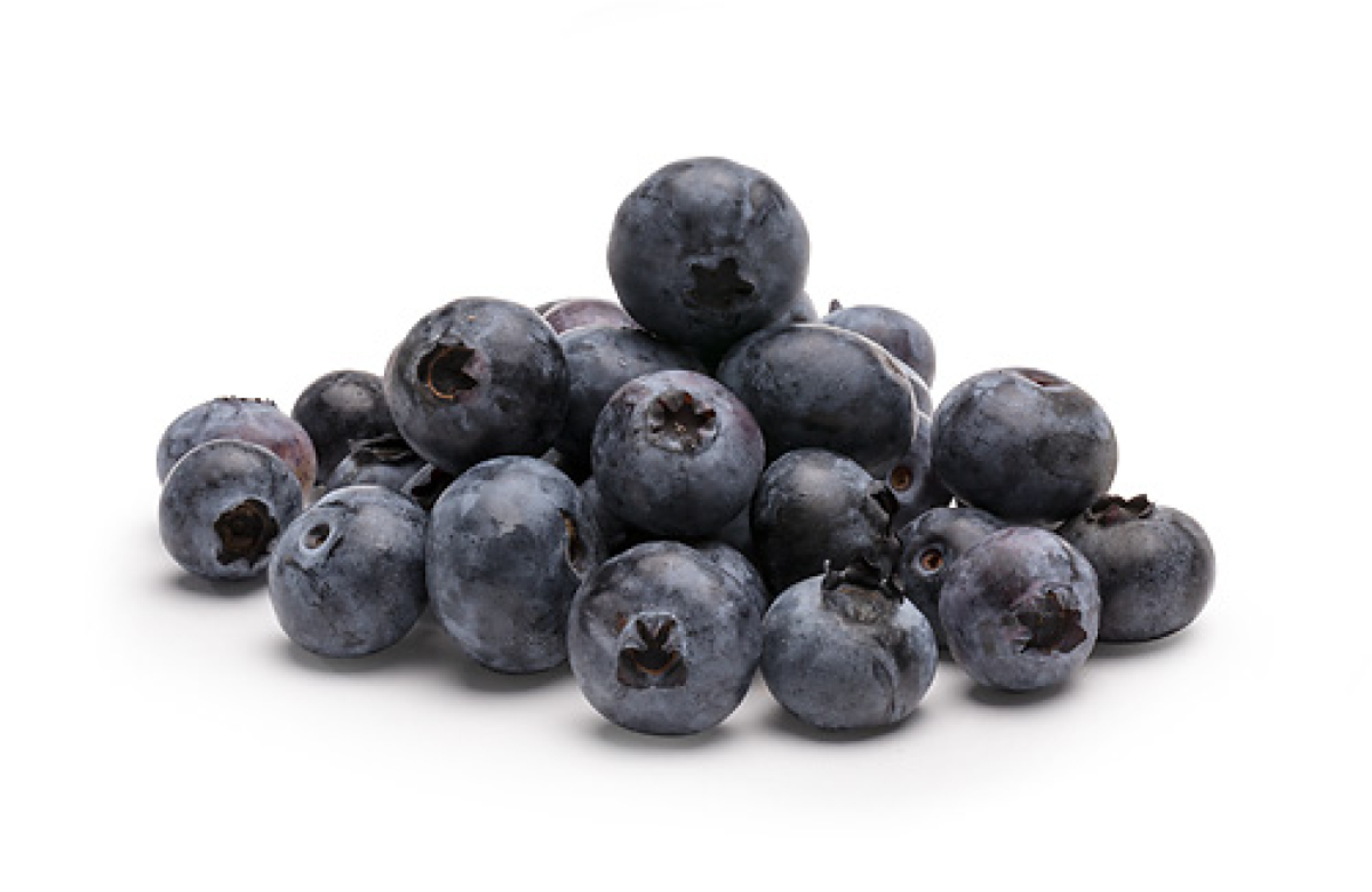Heidelbeeren 125g Schale