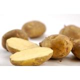 Kartoffeln festkochend