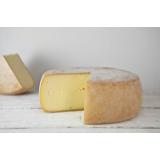 Deichkäse Schaf 50% Fett i. Tr.