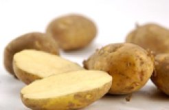 Kartoffeln festkochend