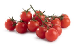 Cherry - Strauchtomaten