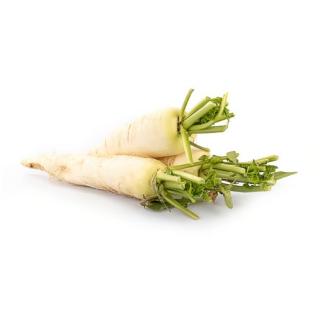 Rettich weiß