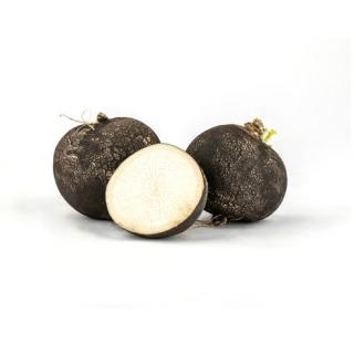 Rettich schwarz