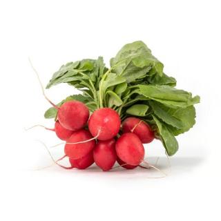Radieschen