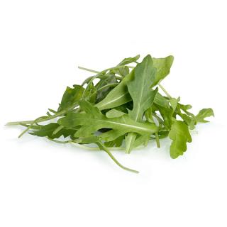 Ruccola