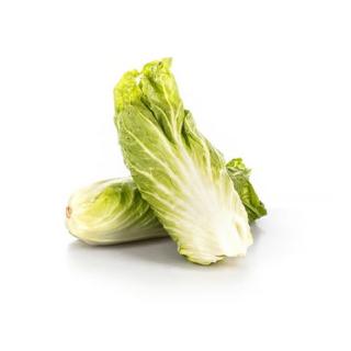 Zuckerhut - Salat