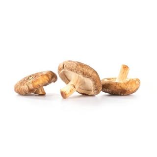 Shiitake
