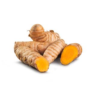 Kurkumawurzel frisch