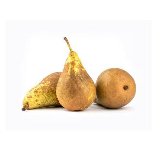 Birnen Guyot - neue Ernte -