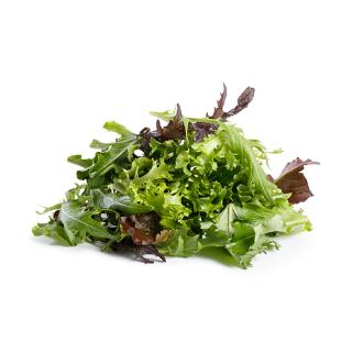 Pflücksalat