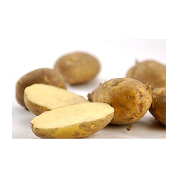 Kartoffeln festkochend