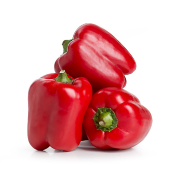 Paprika rot