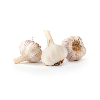 Knoblauch
