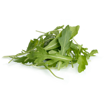 Ruccola