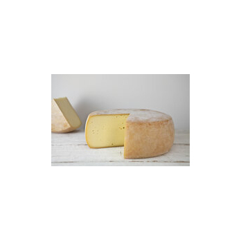 Deichkäse Schaf 50% Fett i. Tr.